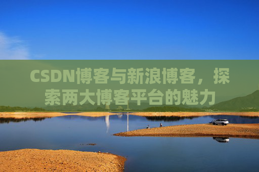 CSDN博客与新浪博客，探索两大博客平台的魅力
